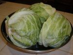 cabbage from the garden