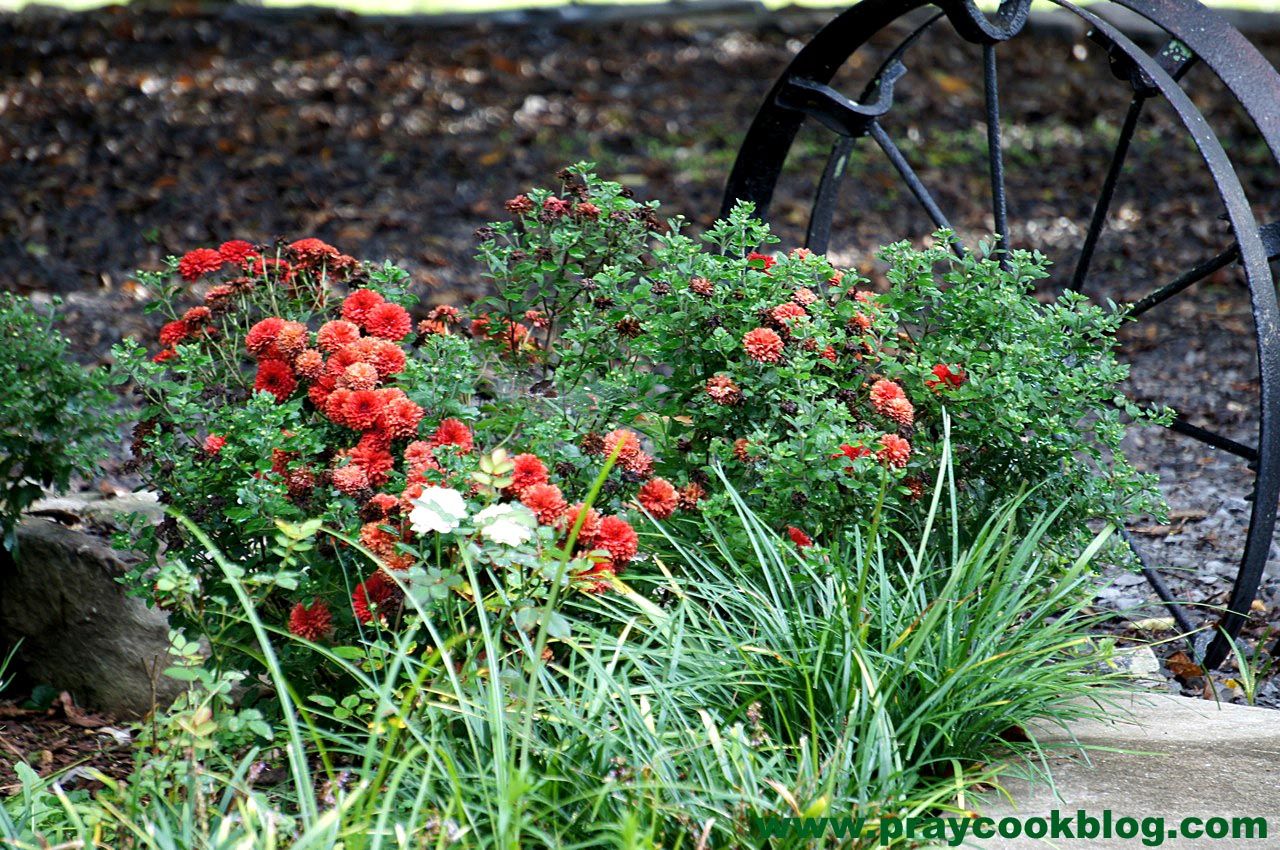 Broccoli Straws and Cheese Quiche