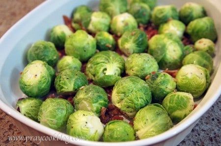 brussels augratin bacon