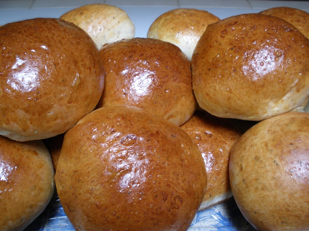 OLYMPUS DIGITAL CAMERA italian burgers