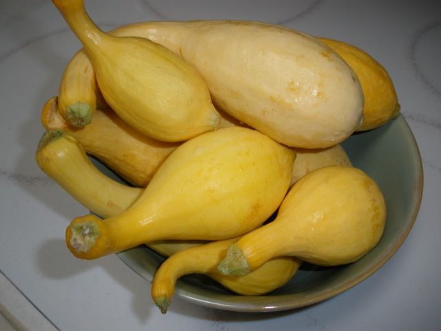 Got Squash? Fast and Easy Yellow Neck Squash Side Dish