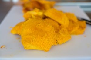 Pumpkin Puree1