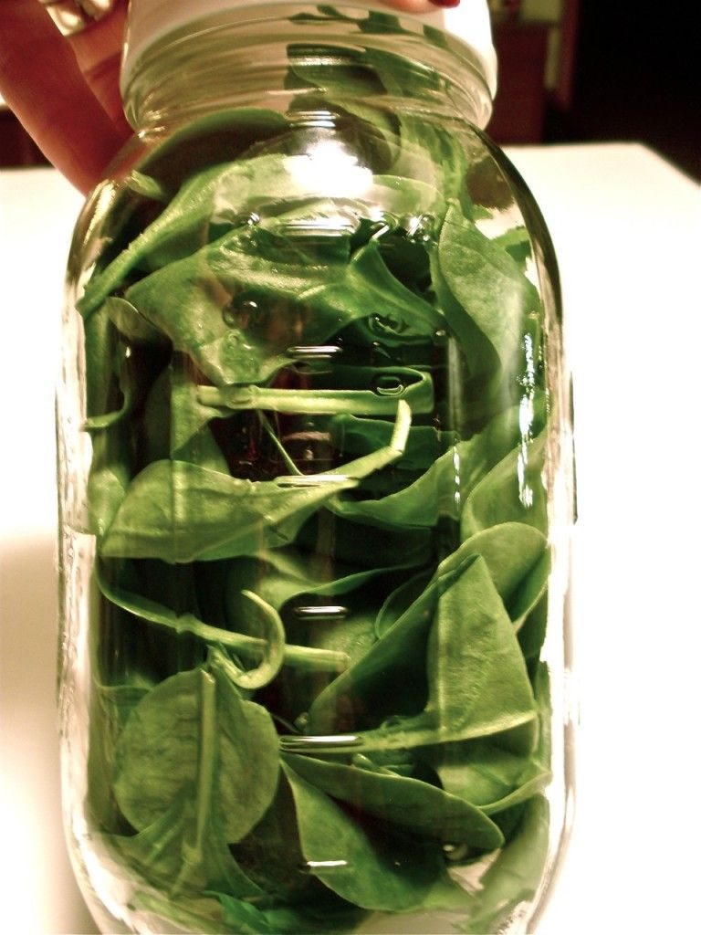 spinach in jar
