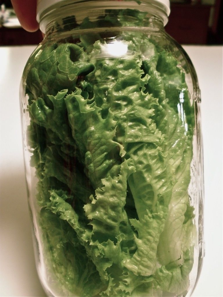 lettuce in jar