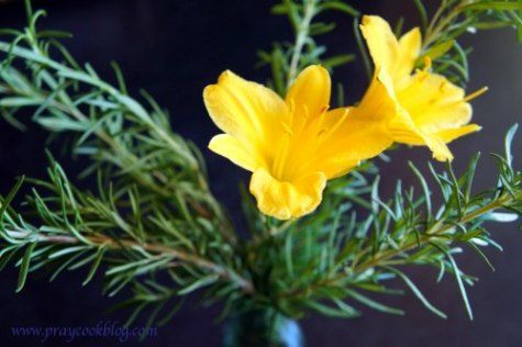 One-Step Homemade Caramel