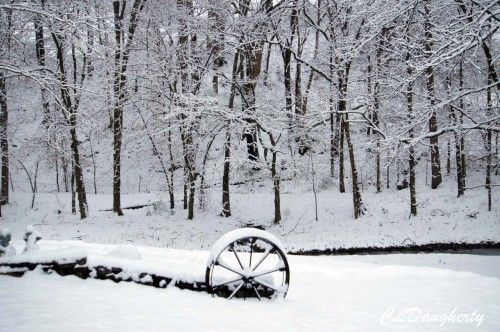 wagon snow trees