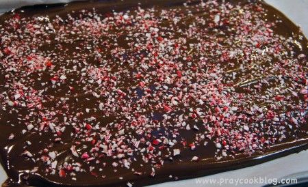 peppermint bark 2
