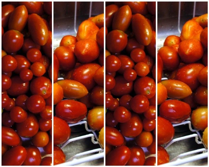 Pepperoni and Tomato Galette