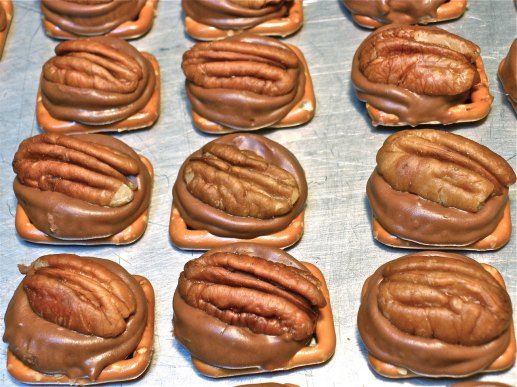 Rolo Me Over Turtles!