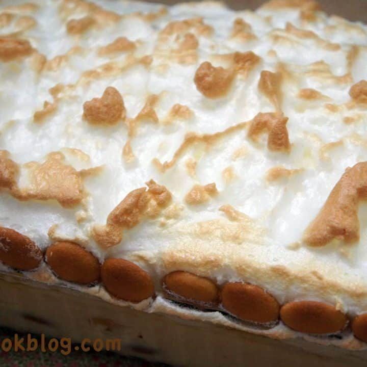 banana pudding upclose