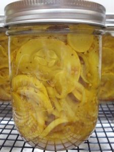 Squash Pickles