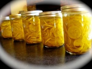 Squash Pickles