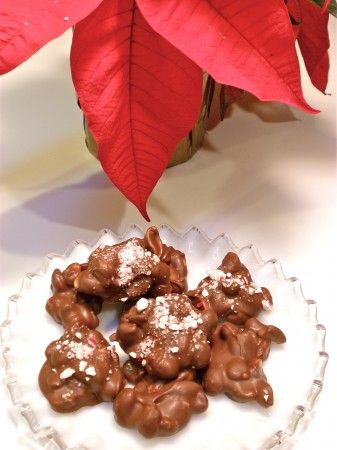 poinset-peanut-clusters2