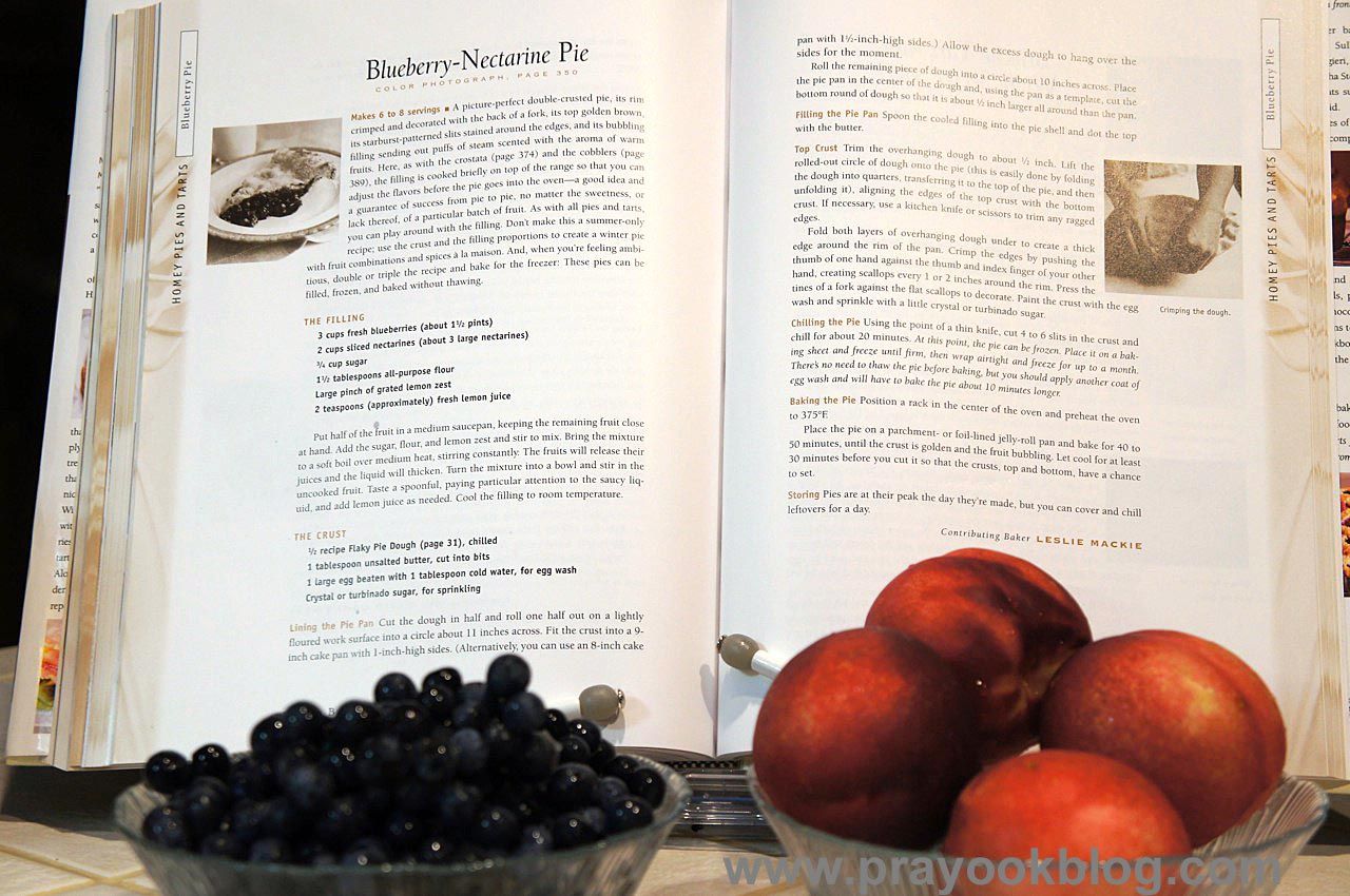 TWDBWJ Blueberry Nectarine Pie