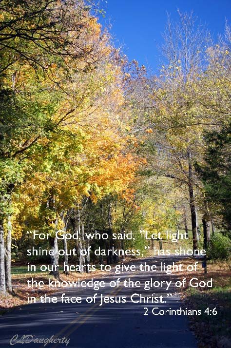 Curve in the road fall