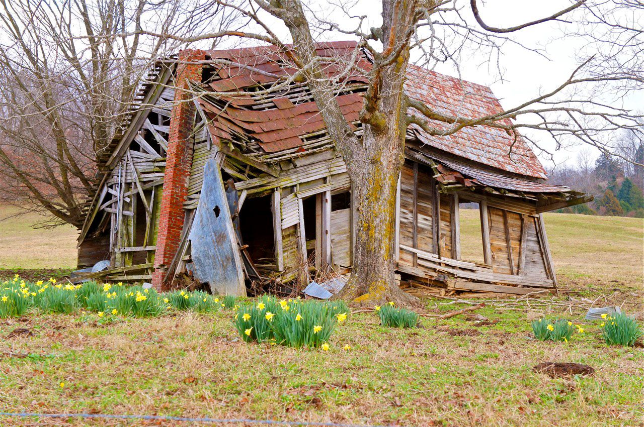 Creamy Tomato Basil Soup, With A Little Surprise!