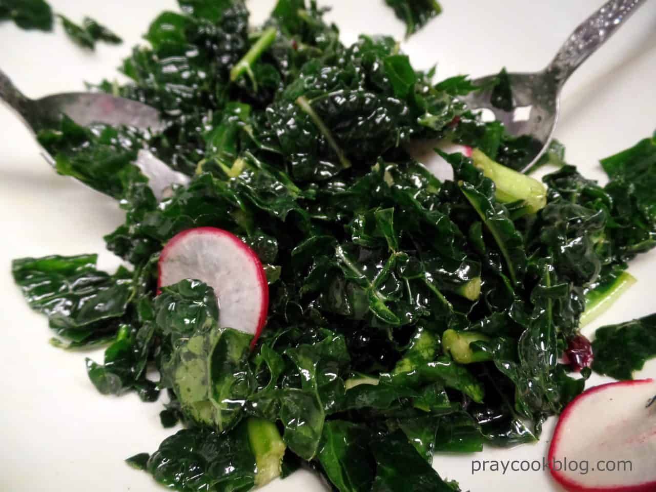 Fresh Kale Salad You Are Gonna Love!