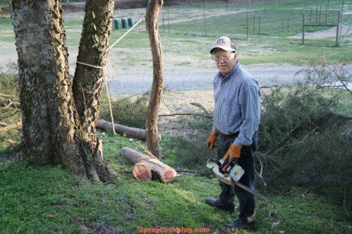 My Funny Valentine and Starlight Yellow Cake