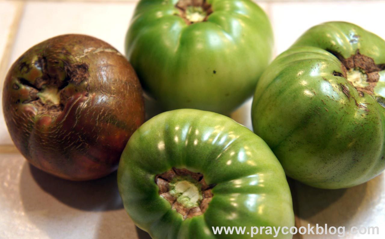 Fried Green Tomato Parmesan