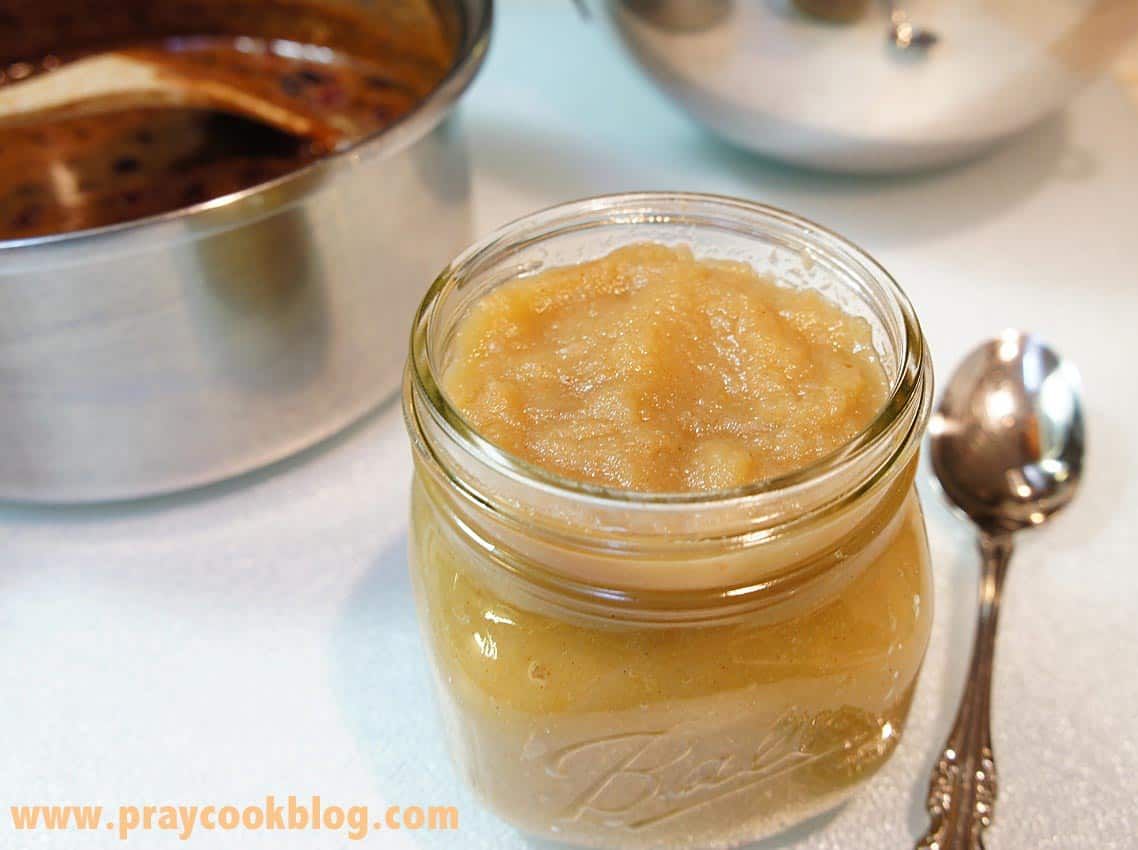 Apple Sauce Bran Muffin